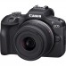 Canon R100 and RF-S 18-45mm F4.5-6.3 IS Canon R100 and RF-S 18-45mm F4.5-6.3 IS